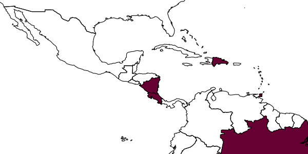 map of Anisepyris finduilasi     Barbosa & Azevedo, 2018